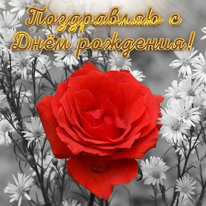 Светлые пожелания