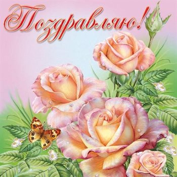 Немного тепла и заботы