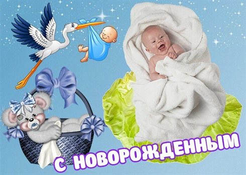 Нежность и внимание