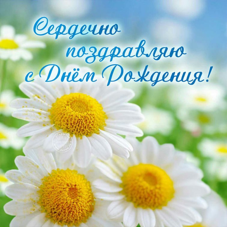 Милая открытка для вас