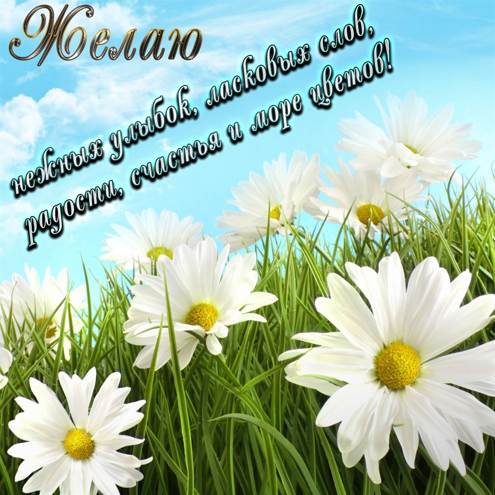 Подарите улыбку: Открытки с цветами женщине с Днем Рождения