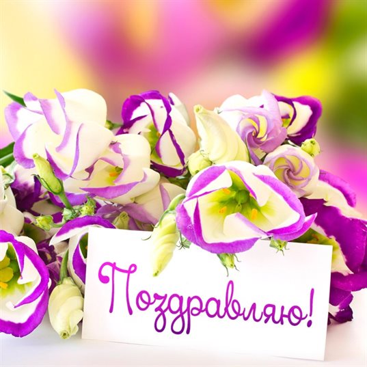 Немного тепла и заботы