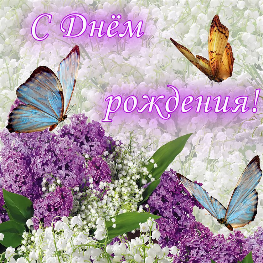 Пусть все сбудется