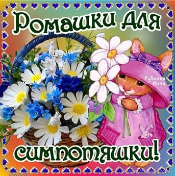 Немного тепла и заботы