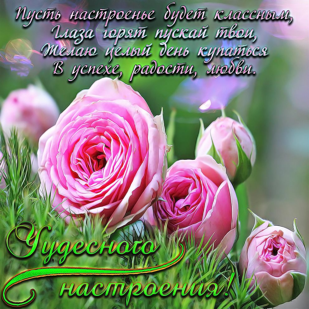 Луч света в ваш день