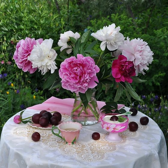 Приятные поздравления