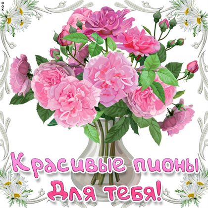 Нежные поздравления для Открытки с пионами на День Рождения