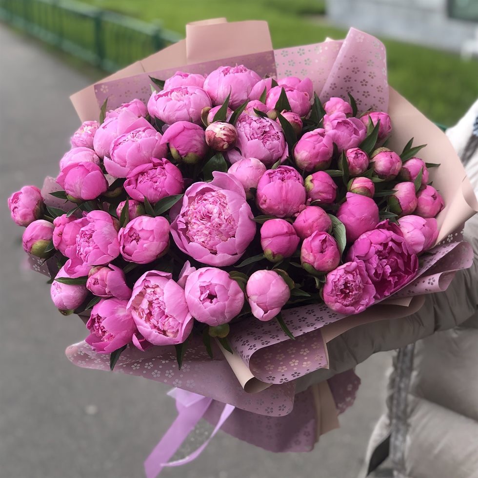 Нежные поздравления для Открытки с пионами на День Рождения