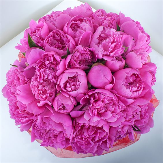 Нежные поздравления для Открытки с пионами на День Рождения