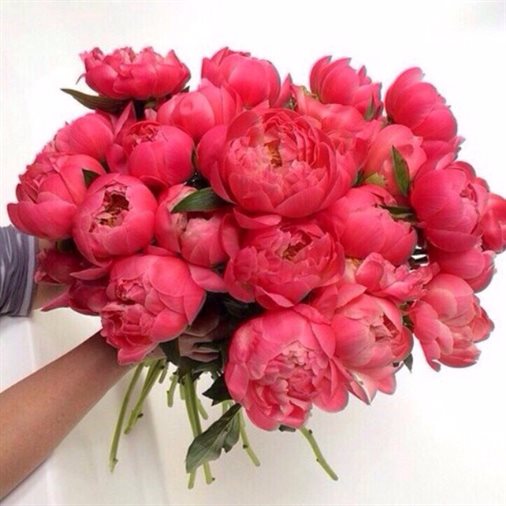 Милая открытка для вас