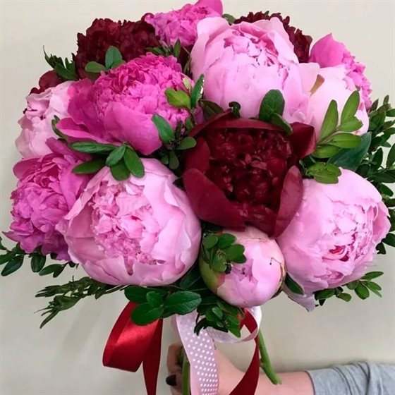 Пусть мечты сбываются