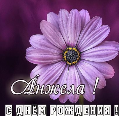 Пусть день будет незабываемым