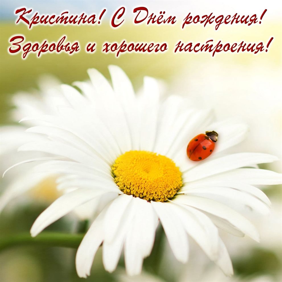 Немного тепла и заботы