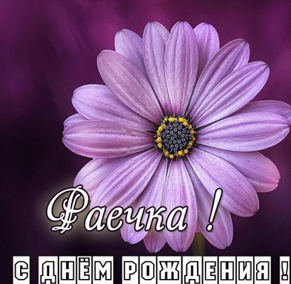 Красивая открытка для Открытки Раисе с Днем Рождения