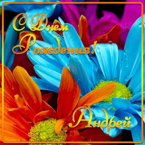 Немного волшебства в ваш день