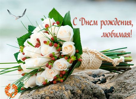 Нежность и внимание