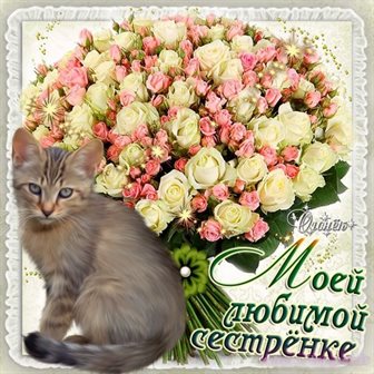 Немного волшебства в ваш день