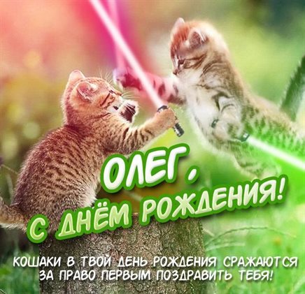 Немного волшебства в ваш день