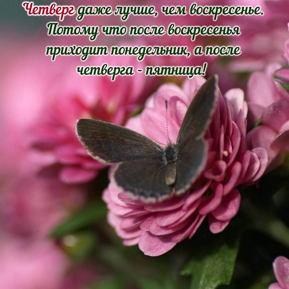 Искренние пожелания