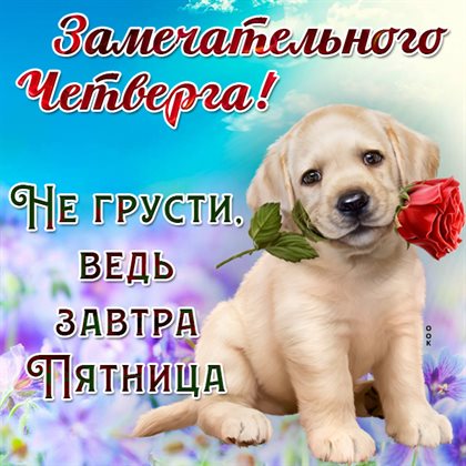 Подарите улыбку: Красивые картинки с четвергом