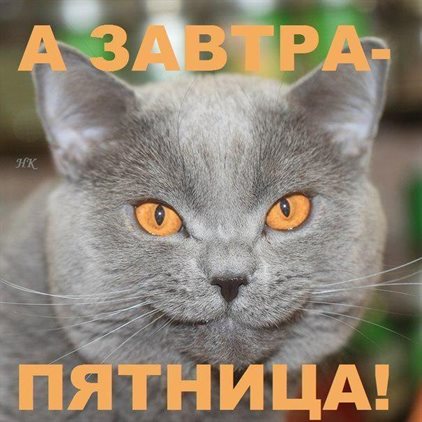 Хорошего настроения сегодня