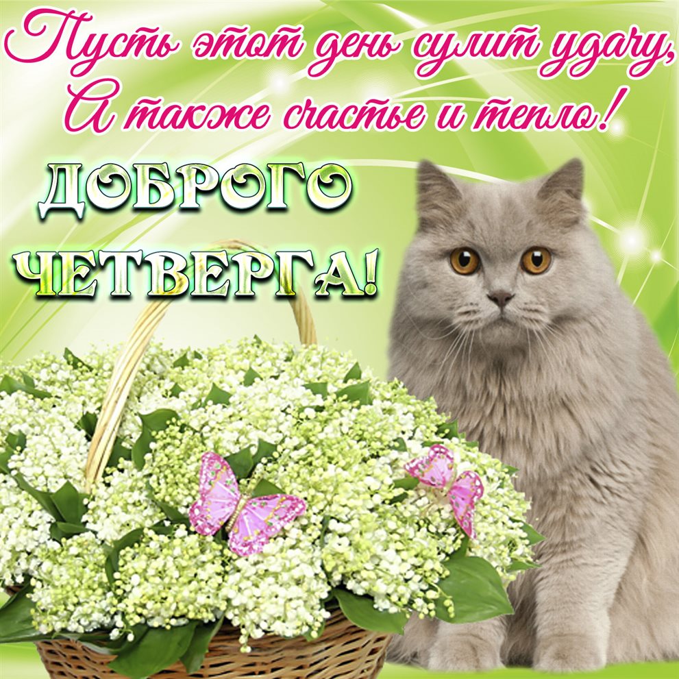 От души: Красивые картинки с четвергом