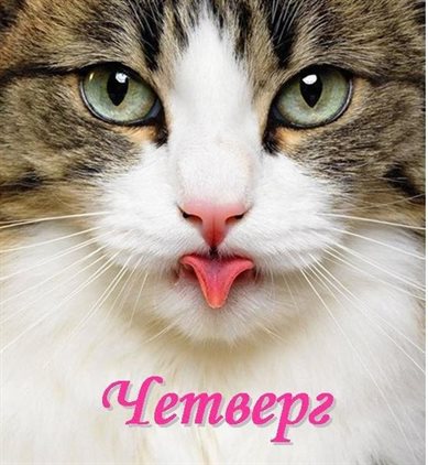 От всей души и сердца