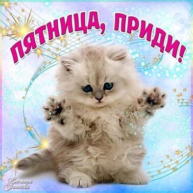 Немного тепла и заботы