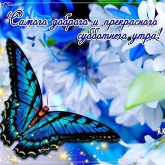 Подарок в виде открытки