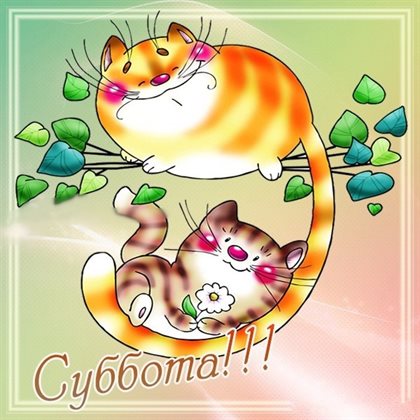 Подарок в виде открытки