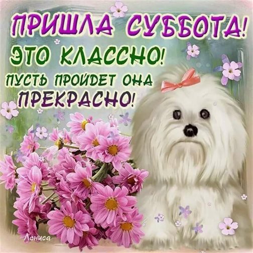 Улыбок, любви и тепла