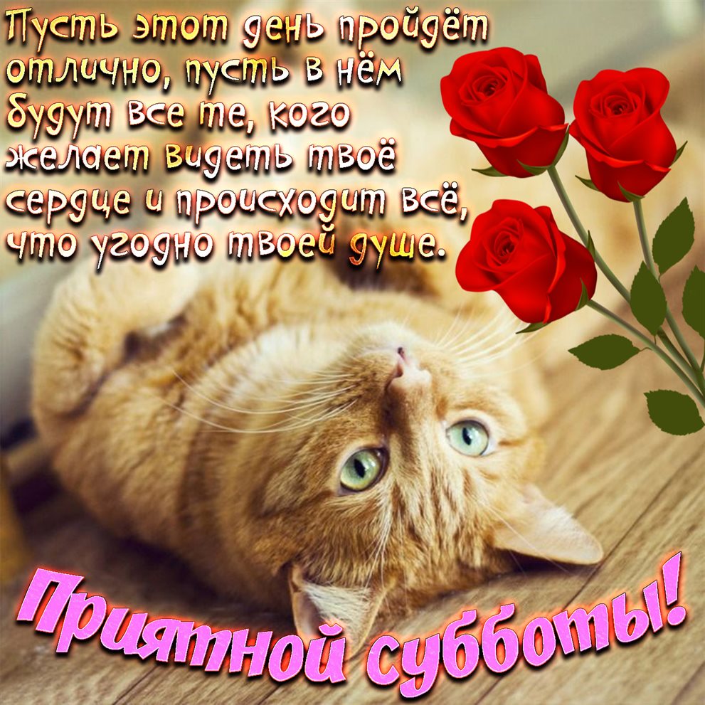 Пусть улыбка не сходит с лица