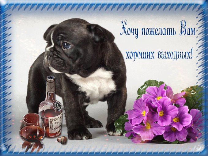 Особенная открытка для Добрых выходных открытки