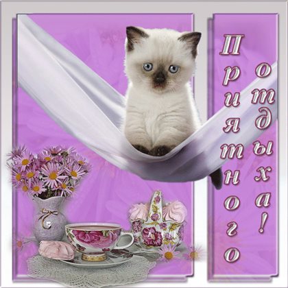 Нежность и внимание