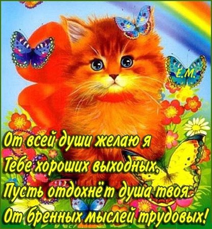 Немного тепла и заботы