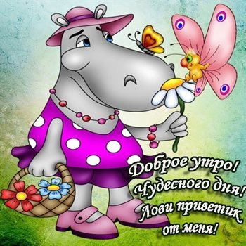 Подарок в виде открытки