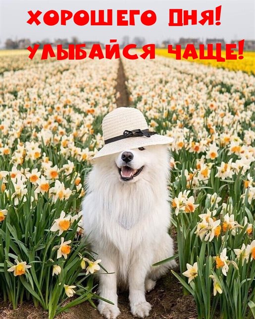 Счастья и удачи