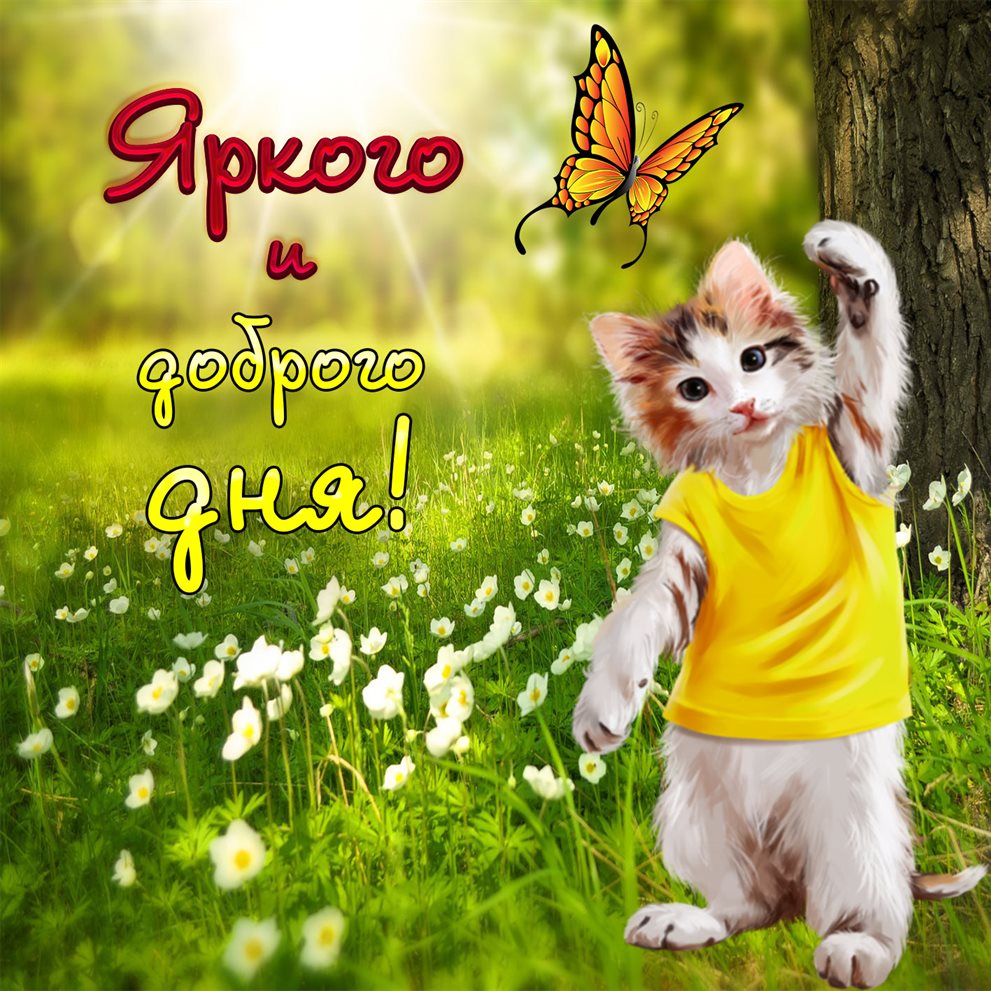 Красивая открытка для Прикольные открытки хорошего дня