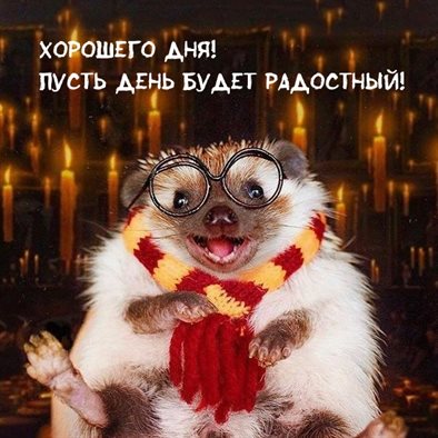 Нежность и внимание