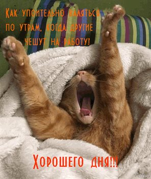 Нежные поздравления для Прикольные открытки хорошего дня