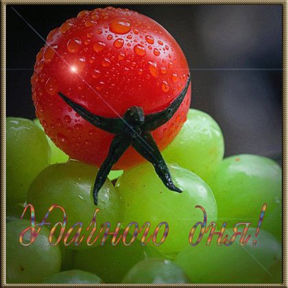 Луч света в ваш день