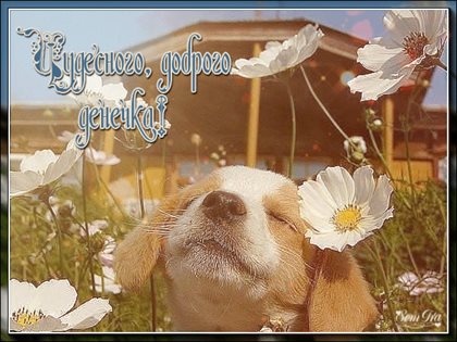 Тепло и улыбки