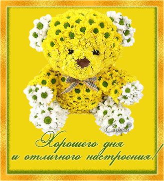 Подарите улыбку: Прикольные открытки хорошего дня