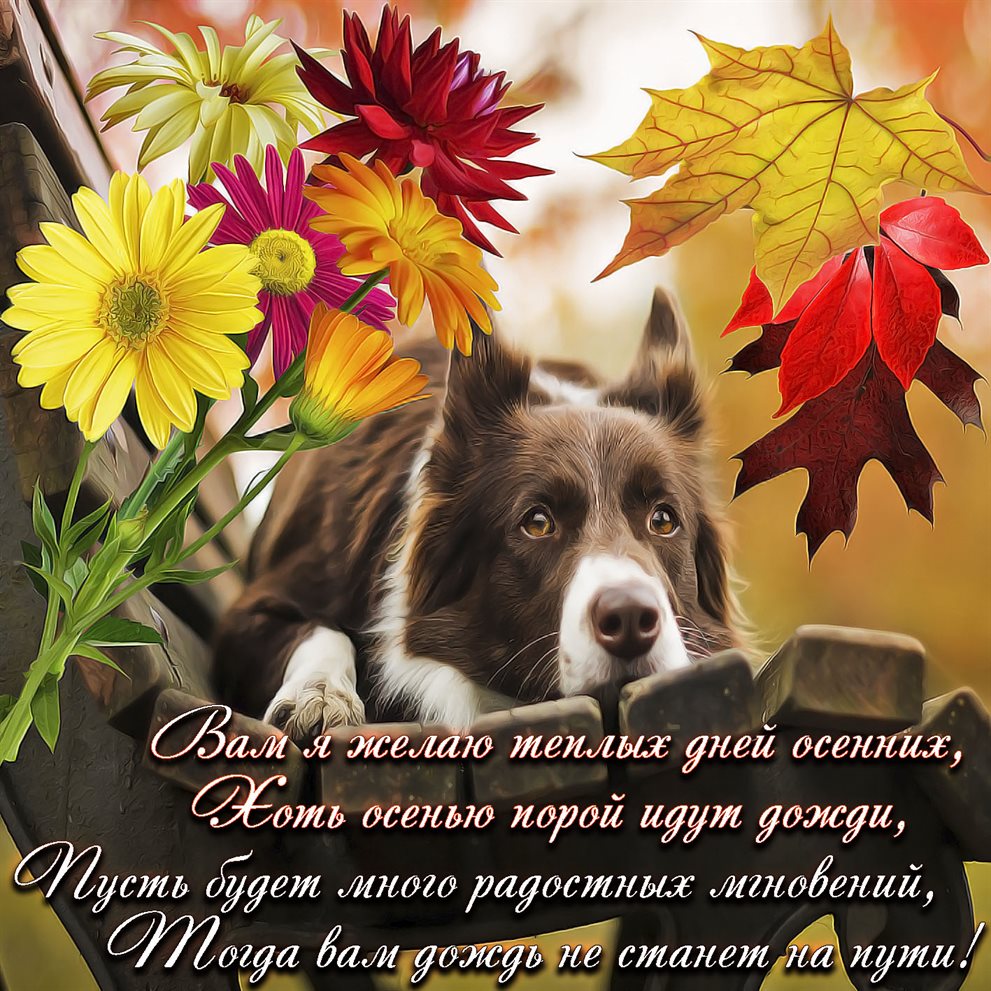 Поздравляем!