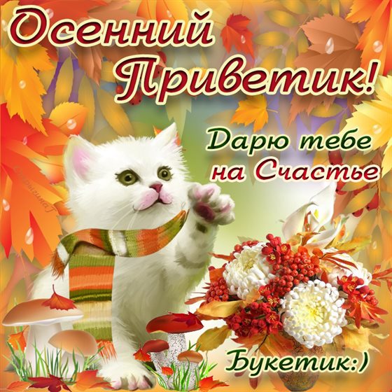 Больше радости в жизни