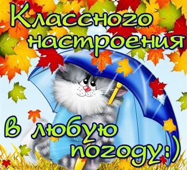 Светлые пожелания