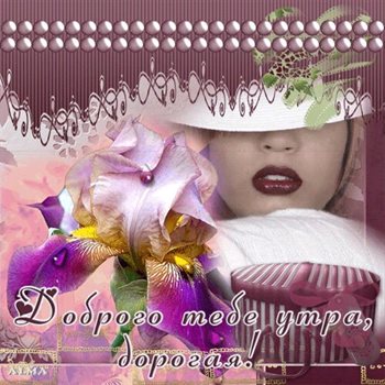 Немного тепла и заботы