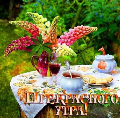 Луч света в ваш день