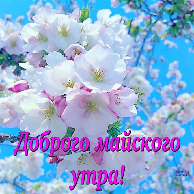 Тепло и улыбки