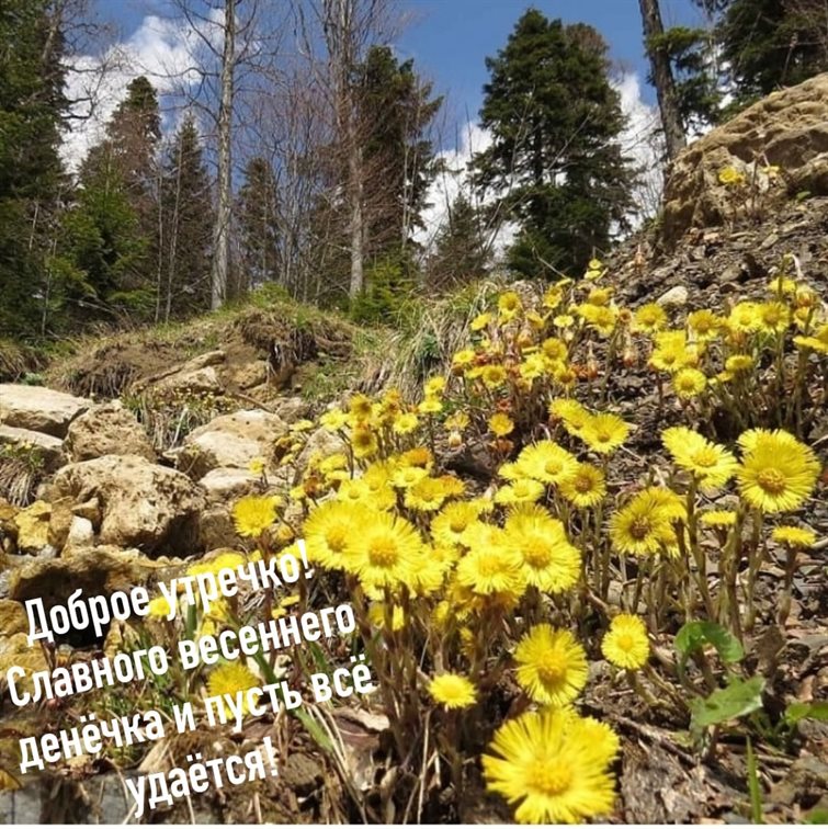 Пусть улыбка не сходит с лица